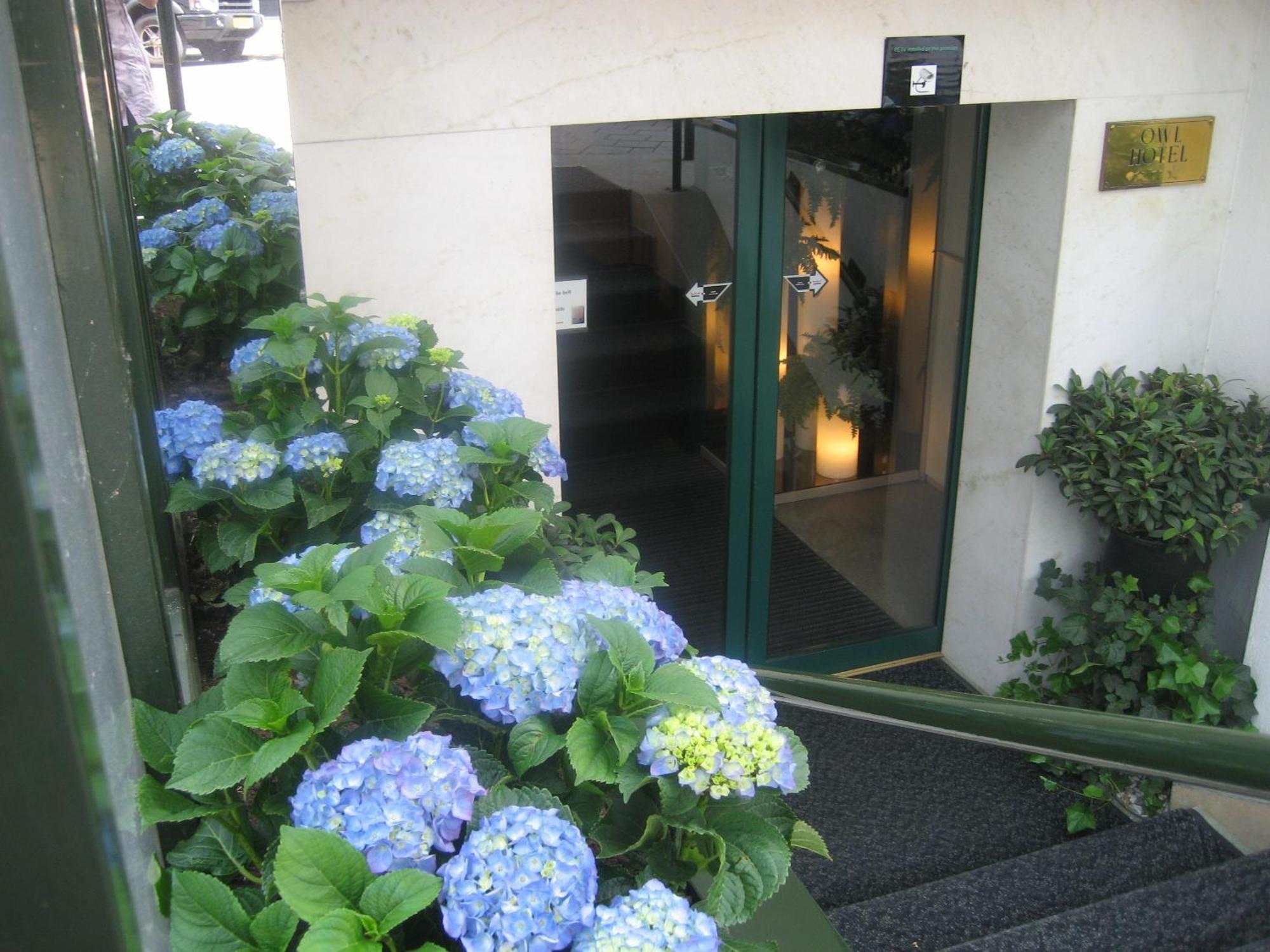 Owl Hotel Amsterdam Exterior photo
